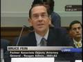 Hearing on Limits of Executive Power: Bruce Fein