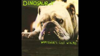 Watch Dinosaur Jr Pebblesweeds video