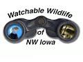 Watchable Wildlife Site - Abbie Gardner Cabin