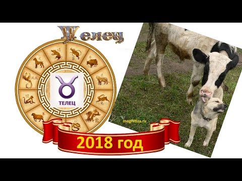 Предсказания для Тельца на 2018 год Предсказания для Тельца на 2018 год