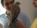donne e animali