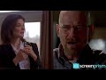 Breaking Bad Marie Schrader Walter White Lite Breaking Bad Marie Schrader Walter White Lite