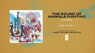 Watch Sound Of Animals Fighting This Heat video