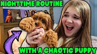 Teenager Nighttime Routine With My New Puppy Bad Idea