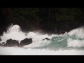 Wakecation: The Panama Adventure - TEASER