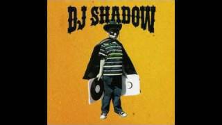 Watch Dj Shadow Turf Dancing feat The Federation  Animaniaks video