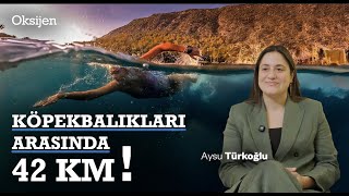 Aysu Türkoğlu Rekortmen Yüzücümüzün Zorlu Mücadeleleri Kaiwi Manş