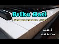 Briku Hati - Piano Instrumental + Lirik