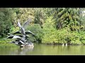 Singapore gardens aim for UNESCO heritage status