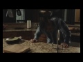 Cinema Scary Movie 5 In Vetta Al Box Office Male images Cinema Scary Movie 5 In Vetta Al Box Office Male