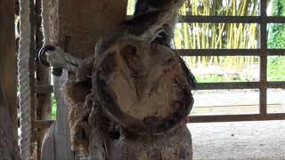 Horseshoeing