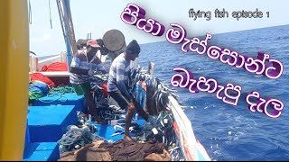 Flying Fish episode 1