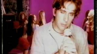 Watch Terry Hall Chasing A Rainbow video