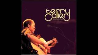 Watch Terry Callier When The Music Is Gone video