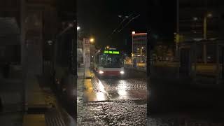 Flashing And Honking Citibus 271