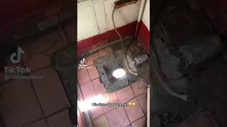 Hindistanda Insanlar Nereyr Sıçıyor