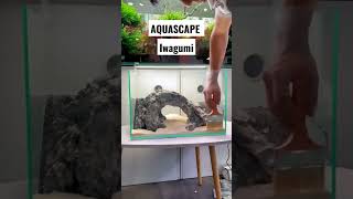 Membuat Aquascape Iwagumi