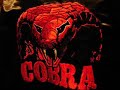 {2011} Dj Cobra-The First Wave