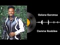 Damma Roobilee Gelana Garomsa Album vol 2 |Galaanaa Gaaromsaa|