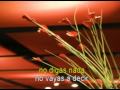 MUSICA ROMANTICA - Roberto Carlos - ... MUSICA ROMANTICA - Roberto Carlos - ...
