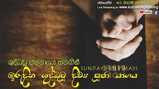 Sunday Holy Mass - 31/01/2021