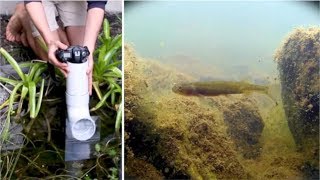 Making an Underwater Periscope for $10