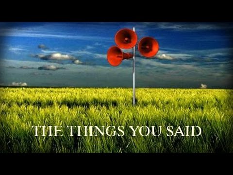 Depeche Mode - The Things You Said - Cover by Thierry L