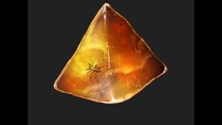 The Photoshop Tutorial How To Paint Amber