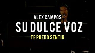 Watch Alex Campos Su Dulce Voz En Vivo video