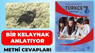 Bir Kelaynak Anlatıyor Metni - 7. Sınıf Türkçe Ders Kitabı Sayfa 113 114 115 116