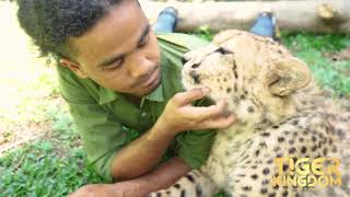 Cheetah and Keeper are best friends!