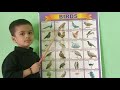 Birds names and sounds | Bird song | Name of Birds | Birds Name Marathi | learn about birds for Kids