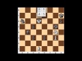 One of the Most Famous Chess Endgame Puzzles Ever