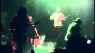 Watch Shanklin Freak Show Stomp video