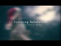 Instrumental Christmas Music: Christmas Piano Music & Traditional Christmas Songs Playlist