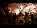 夜桜の高遠城址公園