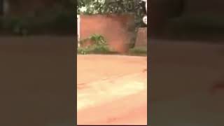 Why Are You Running?