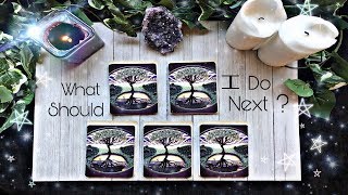 Pick A Card What Should I Do Next ?