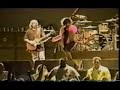 Pearl Jam - Indio '93 (Shoe the Shoeless)