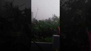 Oops Raining And Little Shivering
