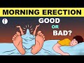 Morning Wood | Morning Erections - GOOD or BAD?