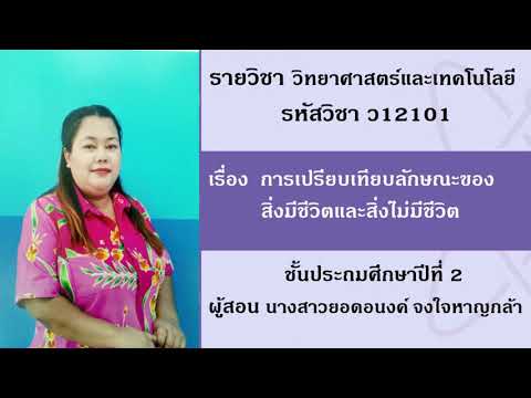 วิชา วิทยาศาสตร์และเทคโนโลยี ป.2 เรื่อง การเปรียบเทียบลักษณะของสิ่งมีชีวิตและสิ่งไม่มีชีวิต