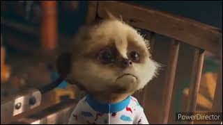 Compare The Meerkat All Adverts Including Sponsorship Compilation Part 3