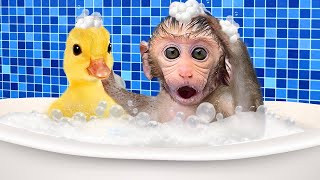 Monkey Baby Bon Bon Bathes With Duckling In The Bathtub And Eats Yellow Watermelon In The Kitchen