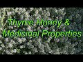 thyme
