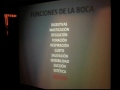 TEDxLaFalda - René Luis Panico - "La boca es un órgano sexual"