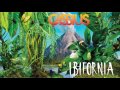 Ibifornia Video preview