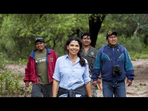 Rolex Laureate Erika CuƩllar - Guardian of Bolivia's Wilderness