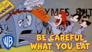 Watch Animaniacs Be Careful What You Eat video