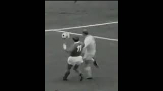 neAjM6lnJIY Video Image